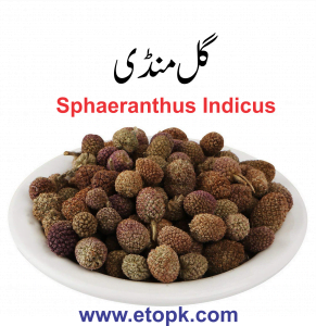 Read more about the article منڈی بوٹی گل منڈی