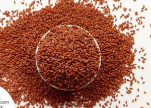 Read more about the article ہالو ہالیون حب الرشاد