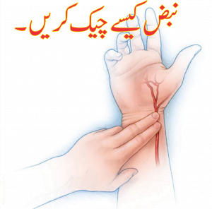 Read more about the article نبض کیسے چیک کریں