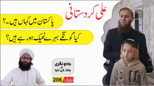 Read more about the article علی کردستانی کی پاکستان آمد اور حقیقت