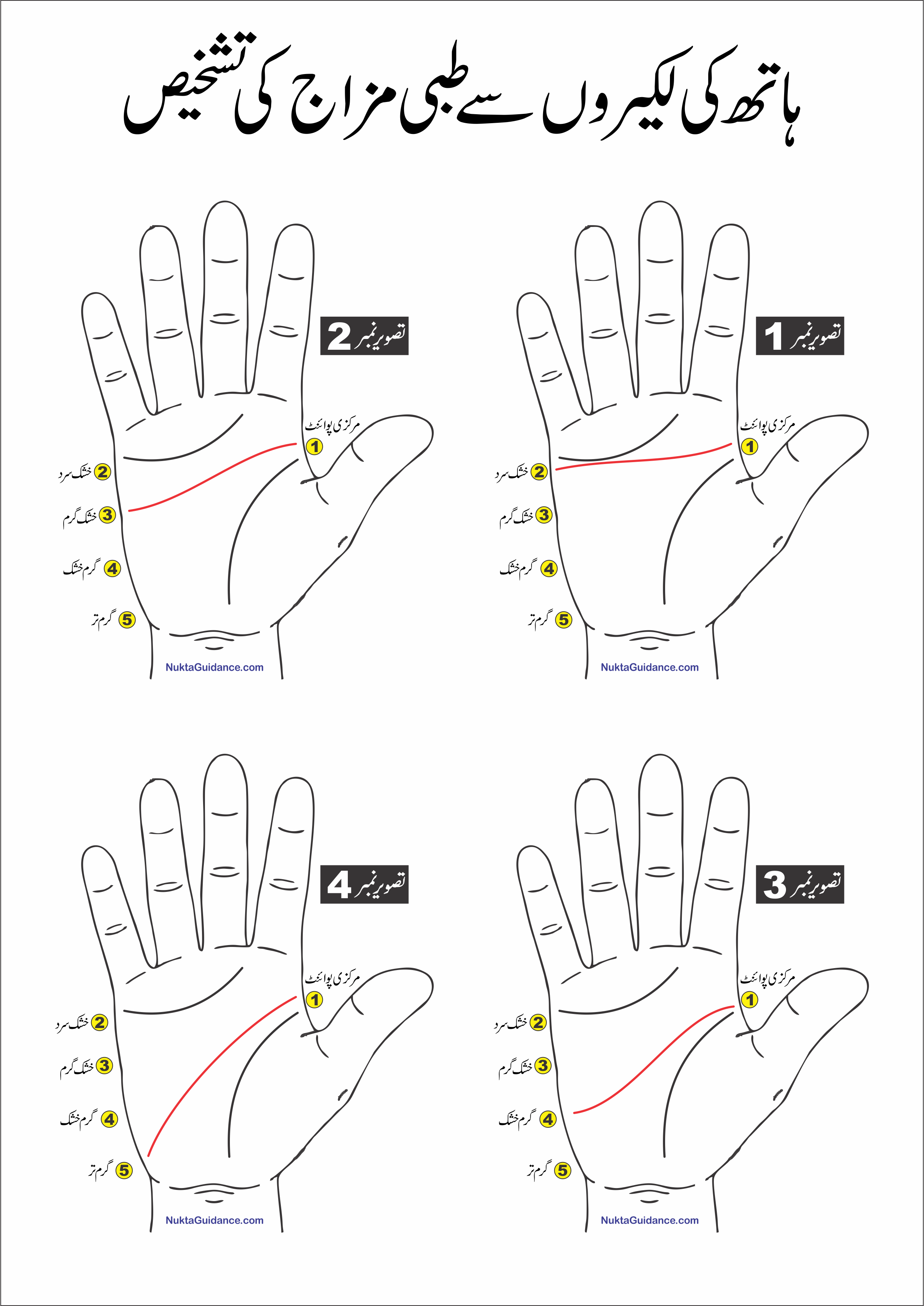 کرشماتی نظام تشخیص ہاتھ کی لکیروں سے مزاج کی تشخیص 2