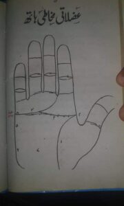 ہاتھ کی لکیروں سے مزاج کا تعین 4 ہاتھ کی لکیروں سے مزاج کا تعین 3 4