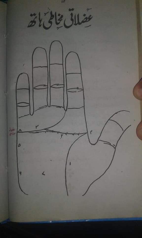 ہاتھ کی لکیروں سے مزاج کا تعین 3 5