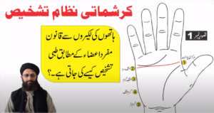 Read more about the article Diagnosis by hand lines ►ہاتھوں کی لکیروں سے طبی مزاج کی تشخیص ► हाथ की रेखाओं से निदान