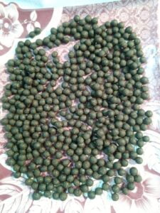 Read more about the article سیلان الرحم