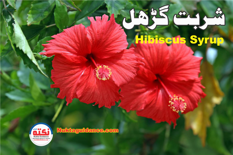 Hibiscus Syrup شربت گڑھل 4