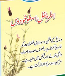 اطریفل اسطوخودوس Atreefal Ustukhudoos 10