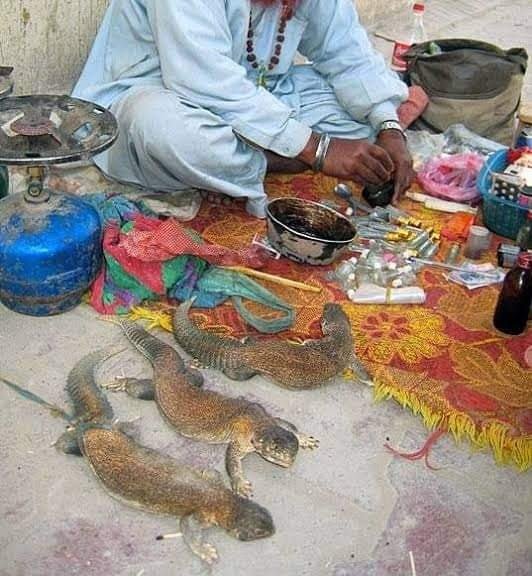 سانڈے کا تیل 13