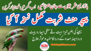 Read more about the article پیپر منٹ سیرپ