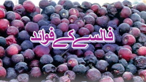 Read more about the article فالسہ