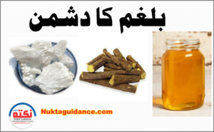 Read more about the article معجون مخرج بلغم