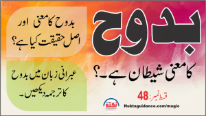 Read more about the article قسط 48 یا بدوح کی حقیقت کیا ہے؟