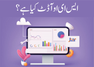 Read more about the article ایس ای او آڈٹ کے لیے 10 ٹولز