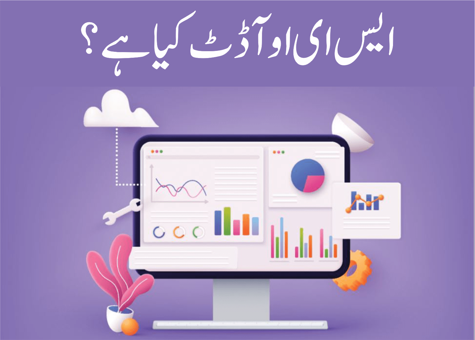 ایس ای او آڈٹ