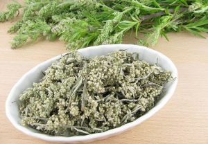 برنجاسف 2 برنجاسف milfoil 1 2