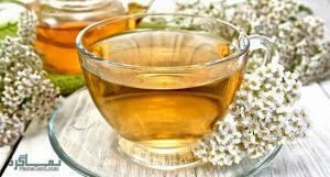 برنجاسف 4 برنجاسف milfoil 3 4