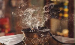 Aquilaria Agalocha اگر عود agar wood 1 3