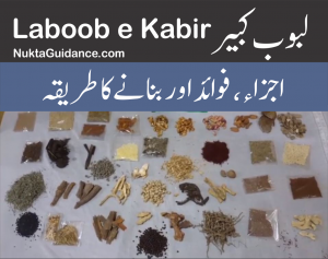 Read more about the article لبوب کبیر اجزاء، فوائد اور بنانے کا طریقہ