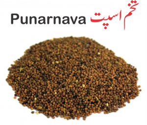 Read more about the article تخم اسپت