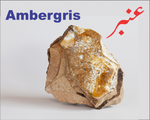 Read more about the article عنبر کیا ہے