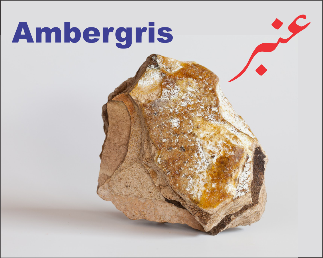 anbar Ambergris عنبر 13