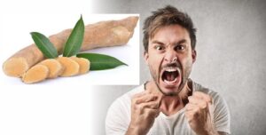 ٹونگ کٹ علی اور غصہ ڈپریشن تناو موڈ 13