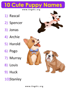 10 Cute Puppy Names 8