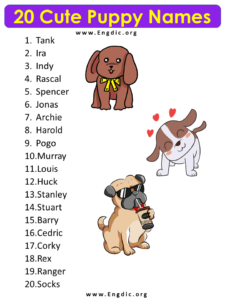 20 Cute Puppy Names 7