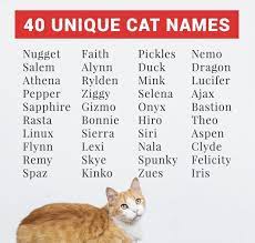 40 Unique cat names 10