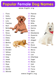 50 Most Female Dog names 6