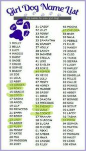 Girl Dog Name List 5