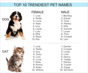Top 10 Trendiest pet names 1