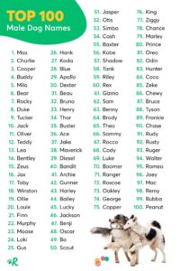 Top 100 Male Dog Names 2