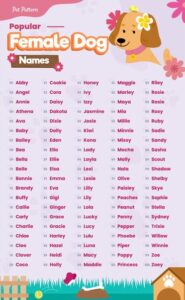 popularb female dog names 3