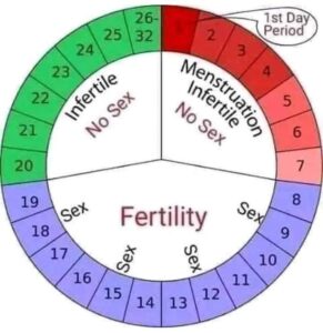 اولاد کا حصول