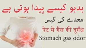 Read more about the article پیٹ میں گیس کی بدبو