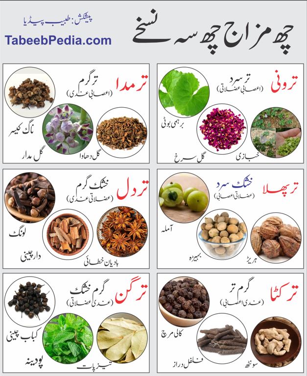 چھ مزاج چھ سہ نسخے 46