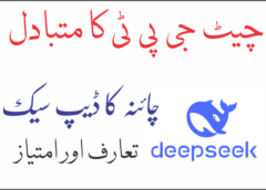 ڈیپ سیک چیٹ DeepSeek Chat 7