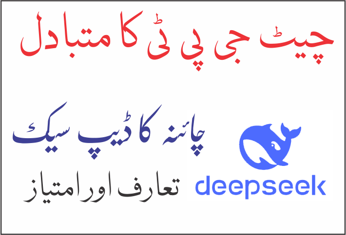 ڈیپ سیک چیٹ DeepSeek Chat 1