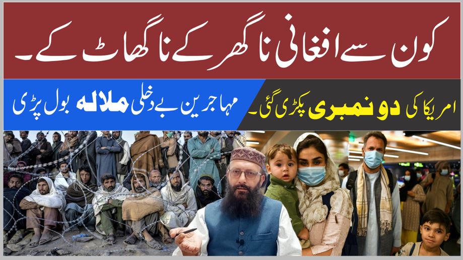 افغانی نا گھر کے نا گھاٹ کے 9