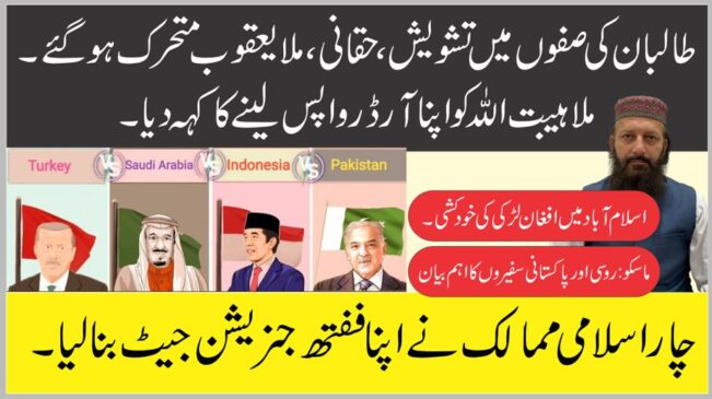 Read more about the article چار اسلامی ممالک ففتھ جنریشن طیارہ بنائیں گے