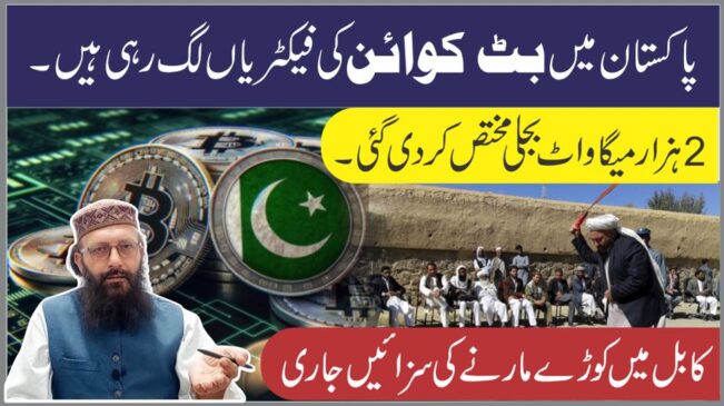 Read more about the article پاکستان میں بٹ کوائن کی فیکٹریاں