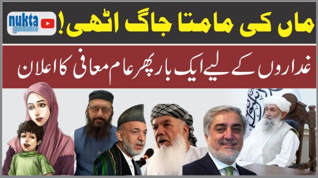 Read more about the article افغانستان نے پھر عام معافی کا اعلان کر دیا